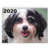Calendrier mignon de chien de 2020 K-ECO Zuchon (Protection)