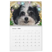 Calendrier mignon de chien de 2020 K-ECO Zuchon (Jan 2026)