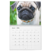 Calendrier mignon de chiens de carlins - (Mar 2026)