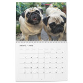 Calendrier mignon de chiens de carlins - (Jan 2026)
