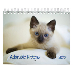 Calendrier mignon de photo d'animal familier de