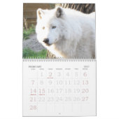 CALENDRIER MIGNON DES ANIMAUX 2013 (Feb 2027)