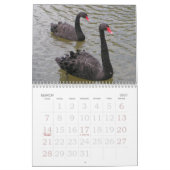 CALENDRIER MIGNON DES ANIMAUX 2013 (Mar 2027)