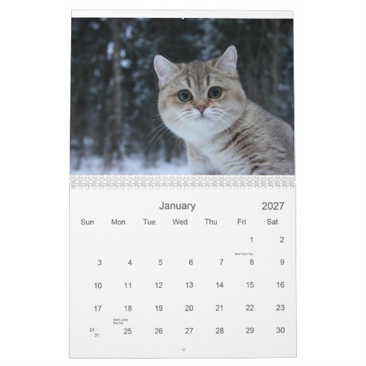 Calendrier mignon des chatons 2012 (Jan 2027)