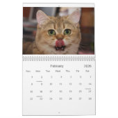 Calendrier mignon des chatons 2012 (Feb 2026)