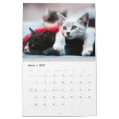 Calendrier mignon des chatons photo murale (Mar 2027)