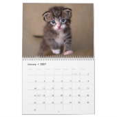 Calendrier mignon des chatons photo murale (Jan 2027)
