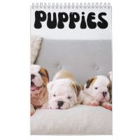 Calendrier mignon mensuel des chiots