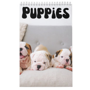Calendrier mignon mensuel des chiots