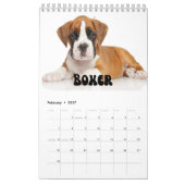 Calendrier mignon mensuel des chiots (Feb 2027)