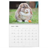 Calendrier Mignons lapins lapins lapins lapins (Mar 2026)