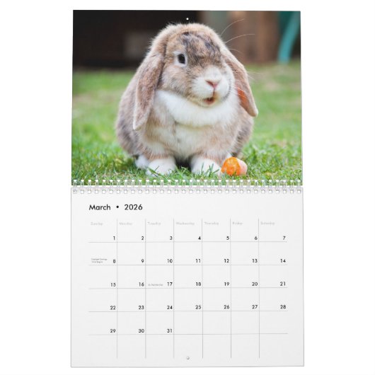 Calendrier Mignons lapins lapins lapins lapins (Mar 2026)