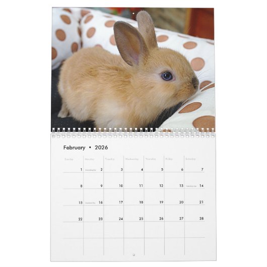 Calendrier Mignons lapins lapins lapins lapins (Feb 2026)