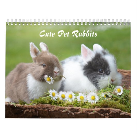 Calendrier Mignons lapins lapins lapins lapins (Protection)
