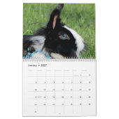 Calendrier Mignons lapins lapins lapins lapins (Jan 2027)