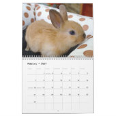 Calendrier Mignons lapins lapins lapins lapins (Feb 2027)