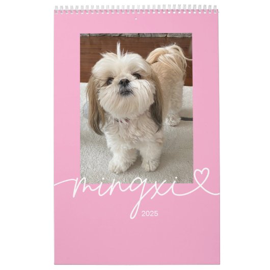 Calendrier Mingxi 2025 (Protection)