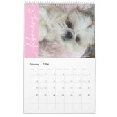 Calendrier Mingxi 2025 (Feb 2026)