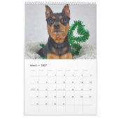 Calendrier Miniature Pinscher One (Mar 2027)