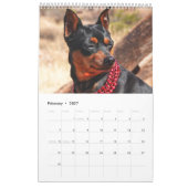 Calendrier Miniature Pinscher One (Feb 2027)
