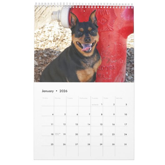 Calendrier Miniature Pinscher One (Jan 2026)