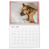 Calendrier Minimalisme moderne | Coral Custom 12 Photo Overla (Mar 2026)