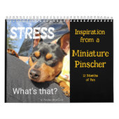 Calendrier MinPIn Inspiration (Protection)