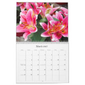 Calendrier Miracle Des Fleurs/2027 (Mar 2027)