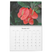 Calendrier Miracle Des Fleurs/2027 (Jan 2027)