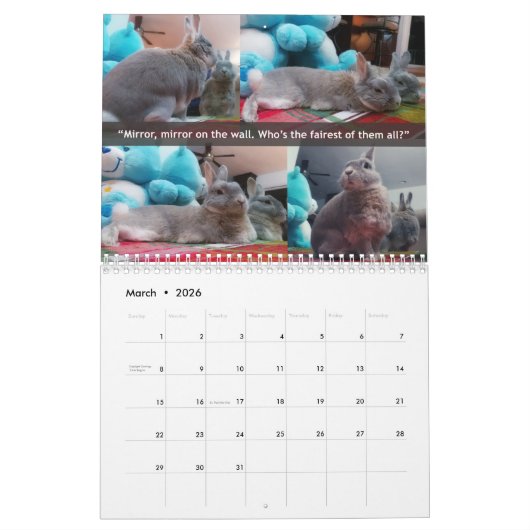 Calendrier Miss Bunz 2023 (Mar 2026)