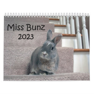 Calendrier Miss Bunz 2023