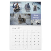 Calendrier Miss Bunz 2023 (Jan 2027)