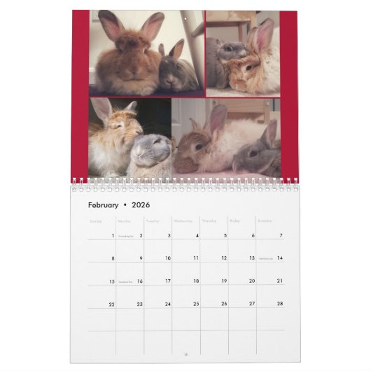 Calendrier Miss Bunz 2024 (Feb 2026)