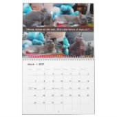 Calendrier Miss Bunz 2024 (Mar 2027)