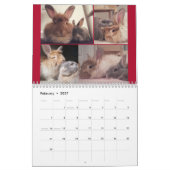 Calendrier Miss Bunz 2024 (Feb 2027)