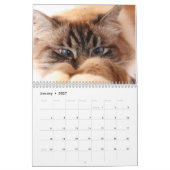 Calendrier Missenell 2022 (Jan 2027)