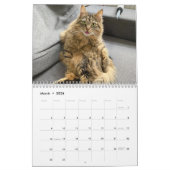 Calendrier Missenell 2022 (Mar 2026)