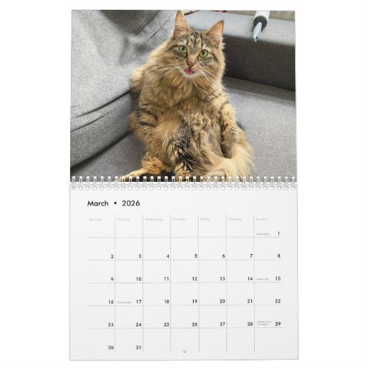 Calendrier Missenell 2022 (Mar 2026)