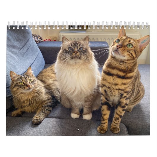 Calendrier Missenell 2022 (Protection)