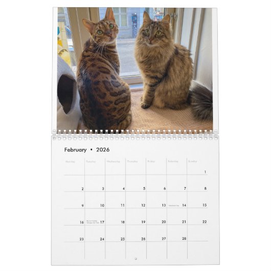 Calendrier Missenell 2022 (Feb 2026)