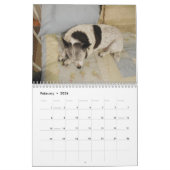 Calendrier Mlle Dolly Calendar (Feb 2026)