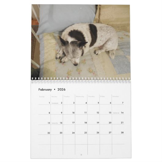 Calendrier Mlle Dolly Calendar (Feb 2026)