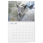 Calendrier Mlle Dolly Calendar (Jan 2026)