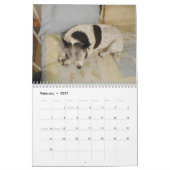 Calendrier Mlle Dolly Calendar (Feb 2027)