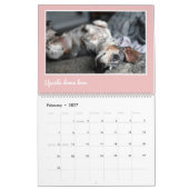Calendrier Modern Cute Dachshund Custom Pet Photos  (Feb 2027)