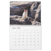 Calendrier Modern Cute Funny Pet Kitten Cat Photos Calendar (Jan 2026)