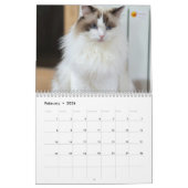 Calendrier Modern Cute Funny Pet Kitten Cat Photos Calendar (Feb 2026)