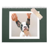 Calendrier Modern Green Scrapbook Pet Photo (Protection)