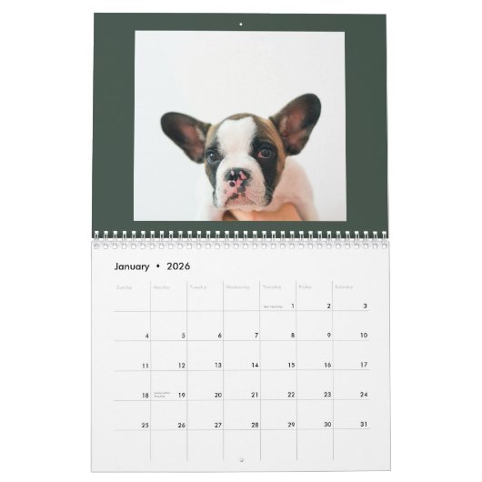Calendrier Modern Green Scrapbook Pet Photo (Jan 2026)