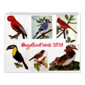 Calendrier Moderne Chic Design Aquarelle Birds (Protection)
